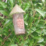 Debbie's Garden Bird Feeder Debbie's Garden Bird Feeder