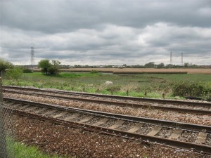 Sausage Pony from a distance