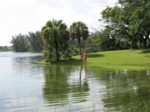 Topeekeegee-Yugnee Park Hollywood Florida - My Girls