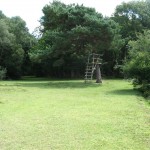 IMG_4658 (Large)
