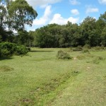 IMG_4660 (Large)