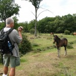 IMG_4677 (Large)