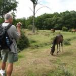 IMG_4678 (Large)