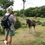 IMG_4679 (Large)
