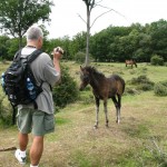 IMG_4680 (Large)
