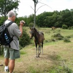 IMG_4681 (Large)