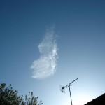 The Funny Bunny Cloud 1 The cloud that looks like an Easter Bunny