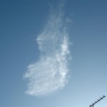 The Funny Bunny Cloud 2 The cloud that looks like an Easter Bunny