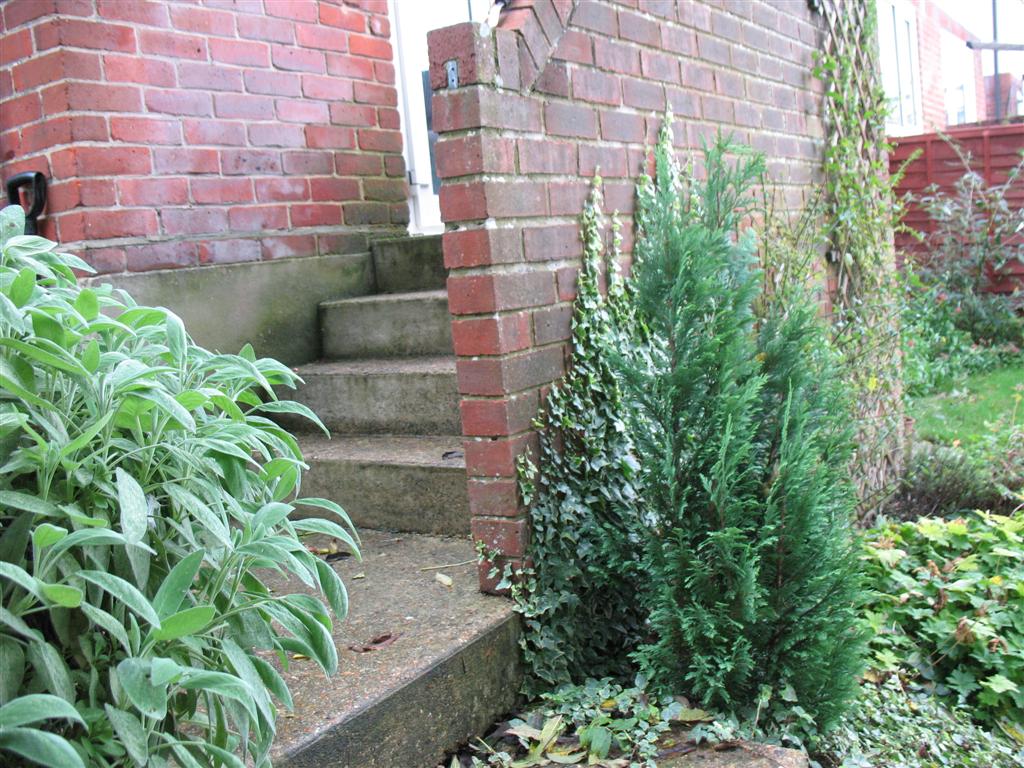Outside Our Kitchen Door