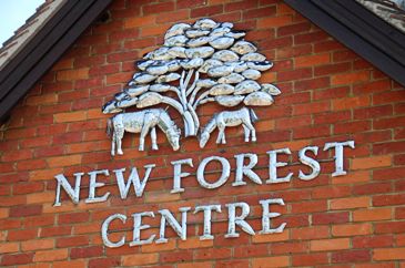 The New Forest Centre The New Forest Centre
